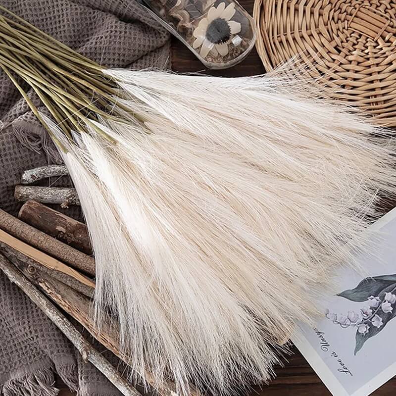 Herbes de la Pampa Crèmes - 5 Tiges 53 cm Maison Gaya