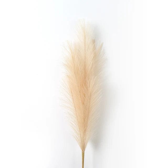 Grandes Fleurs de Pampa - 5 Tiges 120 cm Beige Fleurs-Séchées Gaya Herbes de la pampa