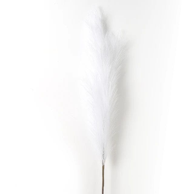 Grandes Fleurs de Pampa - 5 Tiges 120 cm Blanc Fleurs-Séchées Gaya Herbes de la pampa