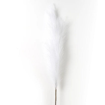 Grandes Fleurs de Pampa - 5 Tiges 120 cm Blanc Fleurs-Séchées Gaya Herbes de la pampa