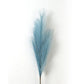 Grandes Fleurs de Pampa - 5 Tiges 120 cm Bleu Fleurs-Séchées Gaya Herbes de la pampa