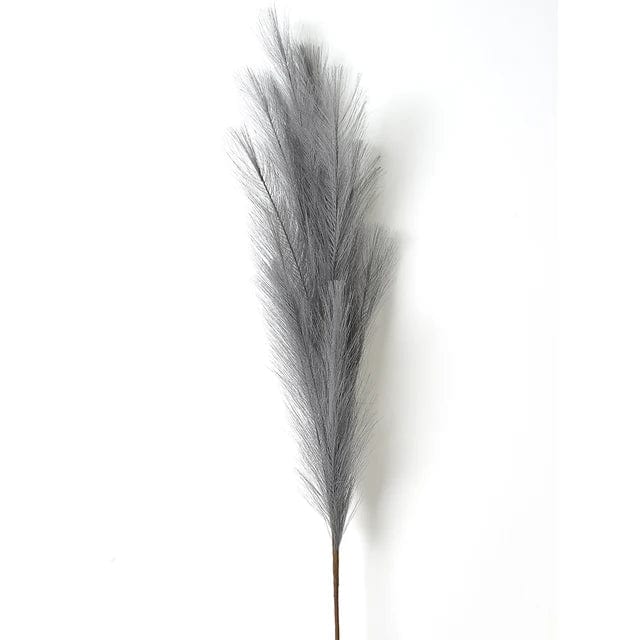 Grandes Fleurs de Pampa - 5 Tiges 120 cm Gris Fleurs-Séchées Gaya Herbes de la pampa
