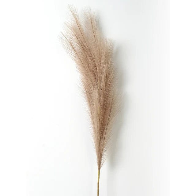 Grandes Fleurs de Pampa - 5 Tiges 120 cm Marron Clair Fleurs-Séchées Gaya Herbes de la pampa