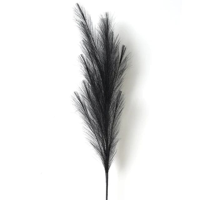 Grandes Fleurs de Pampa - 5 Tiges 120 cm Noir Fleurs-Séchées Gaya Herbes de la pampa