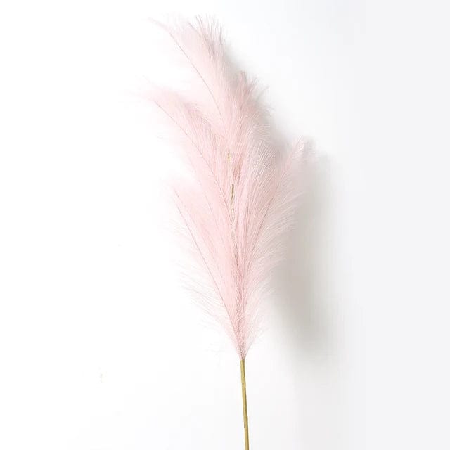 Grandes Fleurs de Pampa - 5 Tiges 120 cm Rose Clair Fleurs-Séchées Gaya Herbes de la pampa