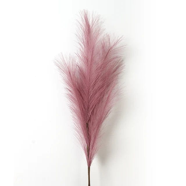 Grandes Fleurs de Pampa - 5 Tiges 120 cm Rose Poudré Fleurs-Séchées Gaya Herbes de la pampa