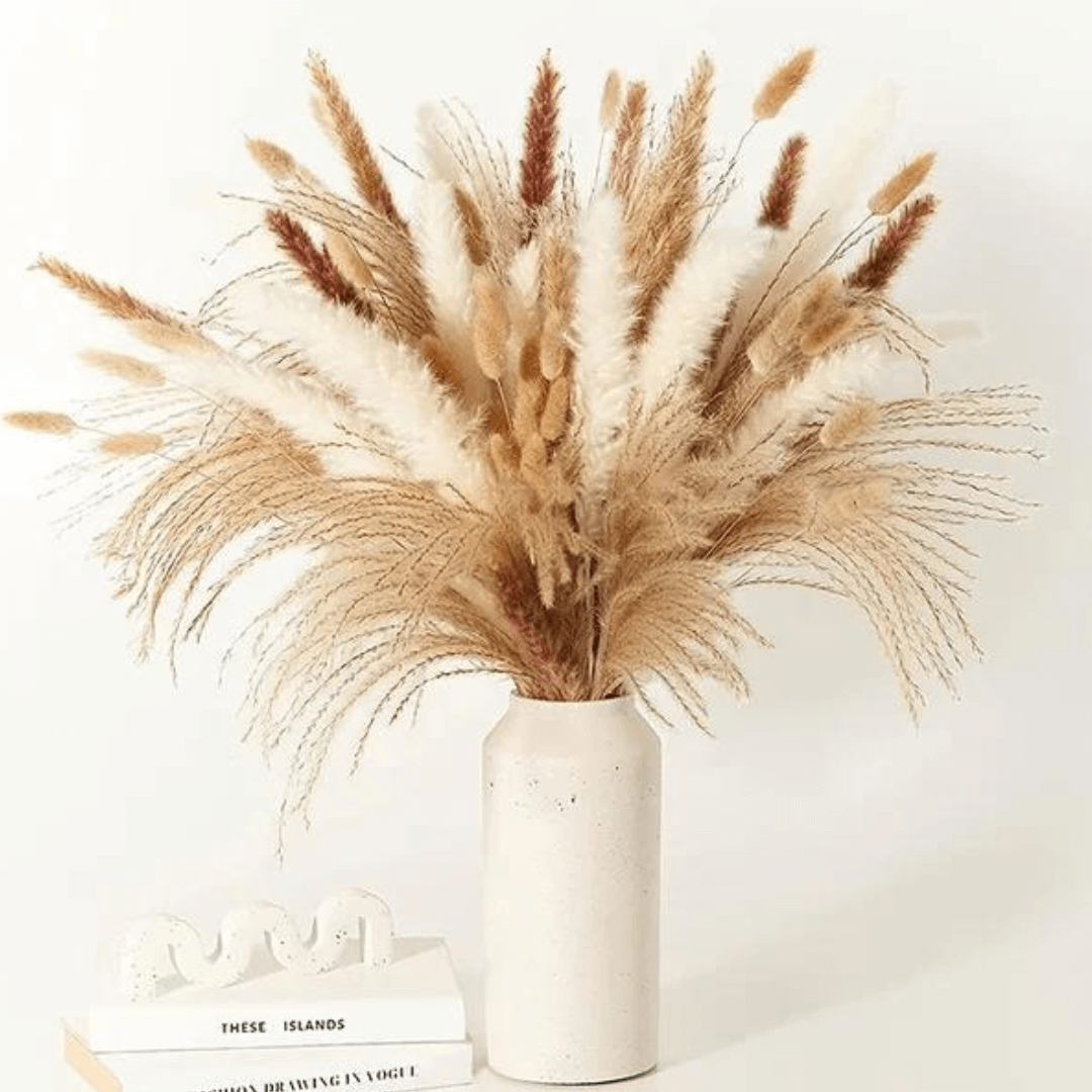 Bouquet de Fleurs Séchées Pampas Beige Kaya Maison Gaya Herbes de la pampa