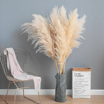 Grandes Herbes de la Pampa Crèmes Touffues - 115 cm 5 Maison Gaya Herbes de la pampa