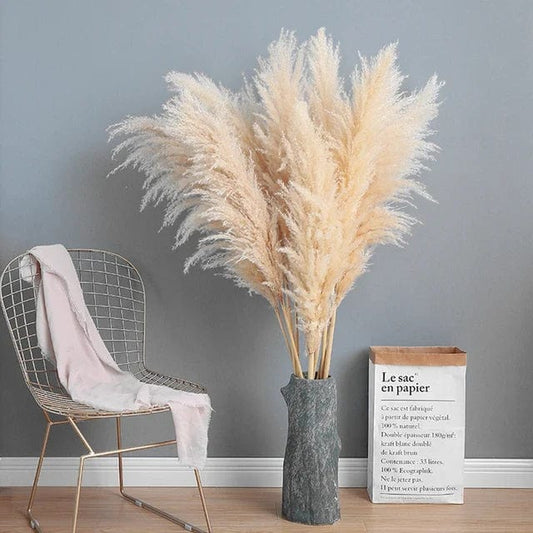 Grandes Herbes de la Pampa Crèmes Touffues - 115 cm 5 Maison Gaya Herbes de la pampa
