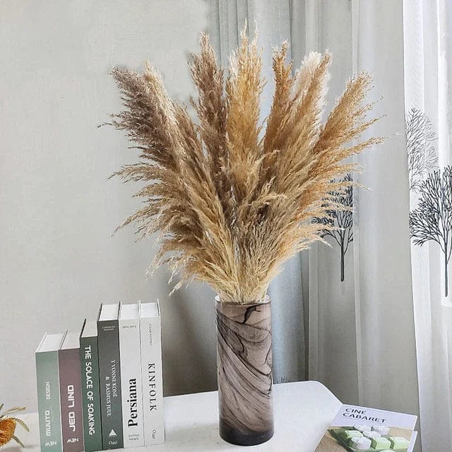 Grandes Herbes de la Pampa Marron Clair Touffues - 115 cm 5 Maison Gaya Herbes de la pampa