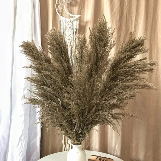 Grandes Herbes de la Pampa Marron Foncé Touffues - 115 cm 5 Maison Gaya Herbes de la pampa