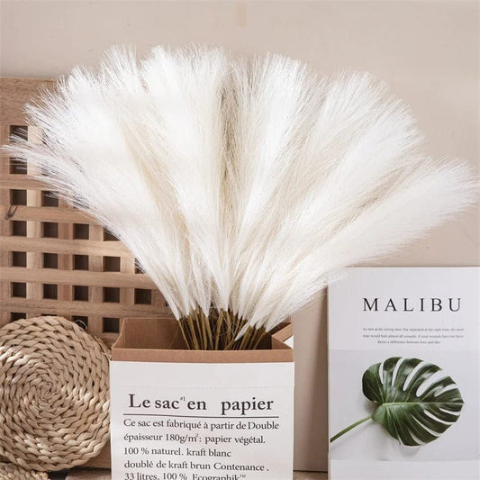 Herbes de la Pampa Blanches - 5 Tiges 53 cm Maison Gaya Herbes de la pampa