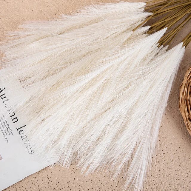 Herbes de la Pampa Blanches - 5 Tiges 53 cm Maison Gaya Herbes de la pampa