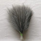 Herbes de la Pampa  Grises - 5 Tiges 35 cm Maison Gaya Herbes de la pampa